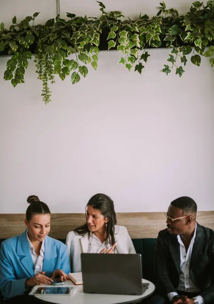 Τρεις Συνάδελφοι Έχουν Μια Συνομιλία Σχετικά Επιχειρηματικά Σχέδια Ενώ Κάθονται — Φωτογραφία Αρχείου