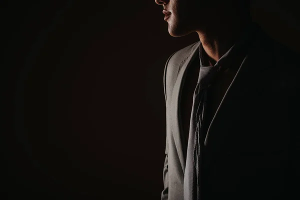 立っているハンサムな男のスーツとネクタイの詳細 — ストック写真