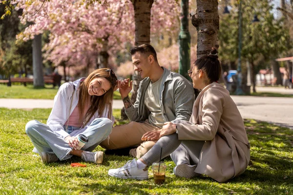 Three Carefree Teenagers Having Fun Garden Lying Meadow — Φωτογραφία Αρχείου