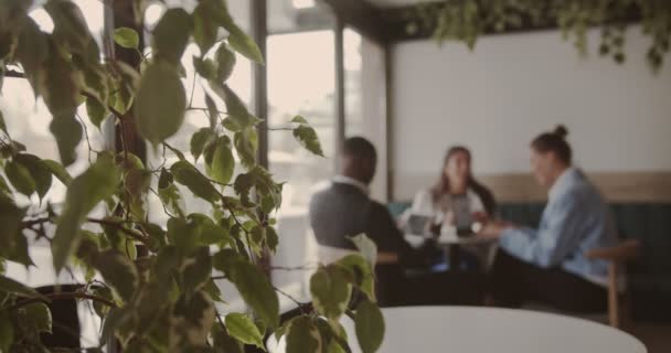 Pessoas Negócios Multirraciais Que Têm Uma Reunião Café Ângulo Largo — Vídeo de Stock