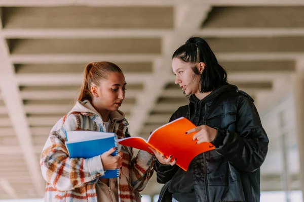 Két Diák Együtt Tanul Barna Lány Próbál Elmagyarázni Valamit Barátjának — Stock Fotó