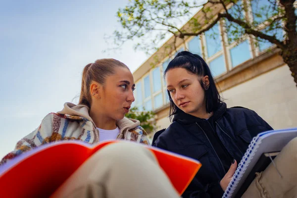 Két Kedves Diák Társalog Miközben Együtt Tanulnak — Stock Fotó