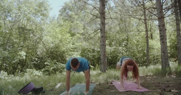 Yoga Paar Het Bos Het Voorjaar Oefenen Frisse Lucht Overdag — Stockvideo