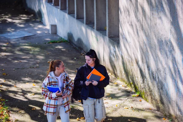 Una Rubia Morena Adolescentes Están Teniendo Una Conversación Divertida Mientras — Foto de Stock