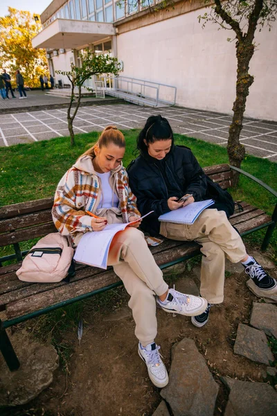 Blondynka Nastolatka Przygotowuje Się Egzaminu Podczas Gdy Jej Przyjaciółka Rozmawia — Zdjęcie stockowe