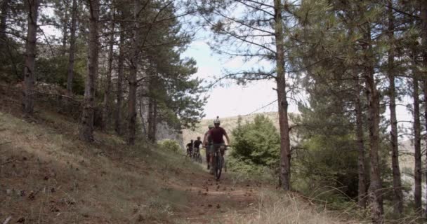 友人のグループは慎重にされている間 タイトな山道で一緒にサイクリングしています — ストック動画
