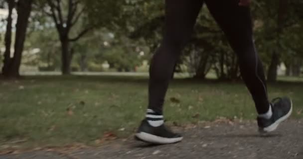 Ember Sétál Parkban Ősszel Teherautó Mozgását Kamera — Stock videók