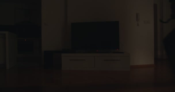 泥棒懐中電灯で家に入ると 内部からの眺め 夜のシーン リビングルーム — ストック動画