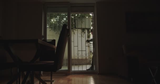 Ladrón Entrando Una Casa Vista Desde Interior — Vídeo de stock