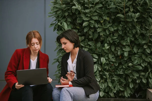 Close Duas Mulheres Negócios Incríveis Olhando Para Laptop Enquanto Sentado — Fotografia de Stock