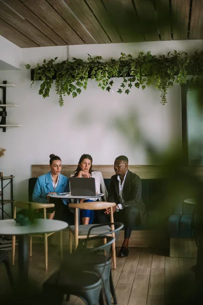 Biznesmeni Patrzą Laptopa Siedząc Niebieskiej Kanapie Kawiarni — Zdjęcie stockowe
