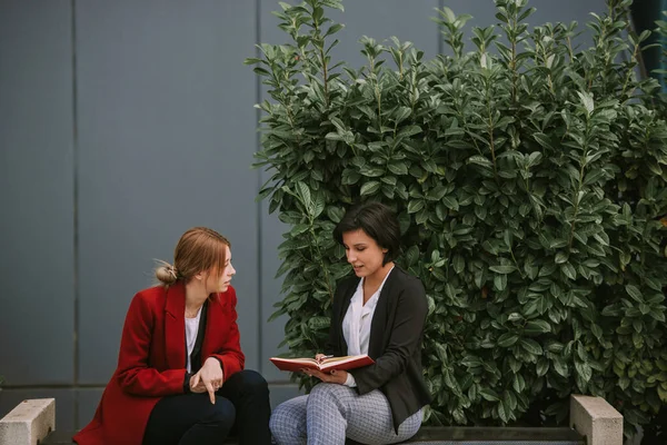 Close up of two amazing business women talking while sitting on the bench