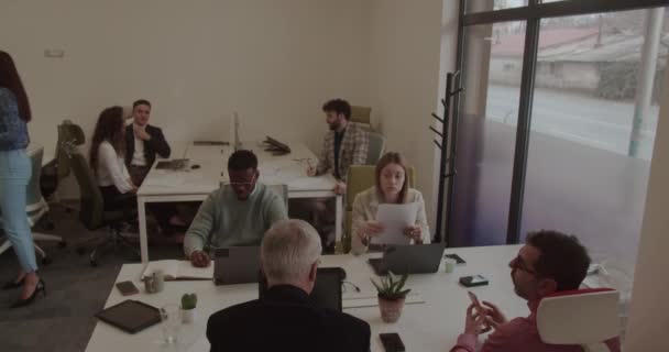 Group Multiracial People Different Age Working Together Modern Business Environment — Vídeo de stock