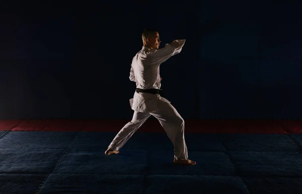 Silhouet Van Een Knappe Karatist Doet Age Uke Poseren Karate — Stockfoto