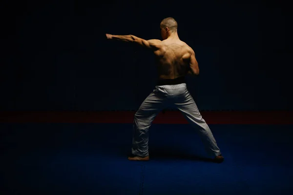 Joven Karatista Guapo Haciendo Pose Kizami Tsuki Estudio Karate — Foto de Stock