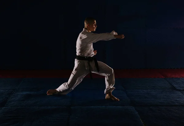 Silhouette Egy Fiatal Karatista Csinál Choku Zuki Pózol Karate Stúdióban — Stock Fotó