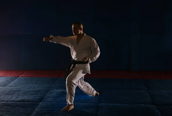 Przystojny Młody Karatyk Wystawiający Choku Zuki Studiu Karate — Zdjęcie stockowe