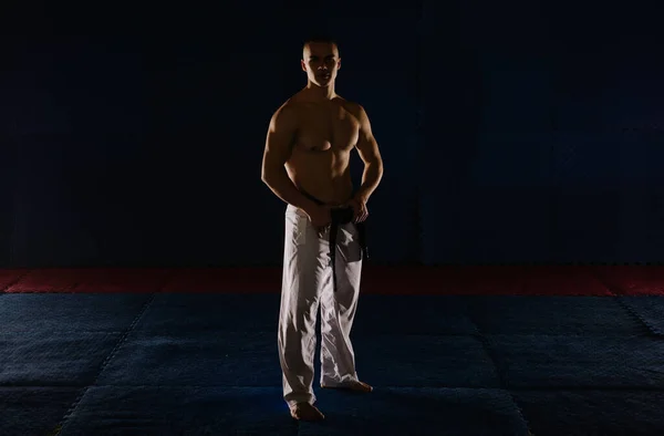 Guapo Joven Karatista Posando Sin Camisa Estudio Karate — Foto de Stock