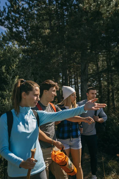 Group Hikers Showing Something While Standing Forest — Stock Photo, Image