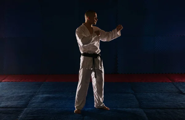 Fiatal Karatista Neko Ashi Dachi Pózol Karate Stúdióban — Stock Fotó