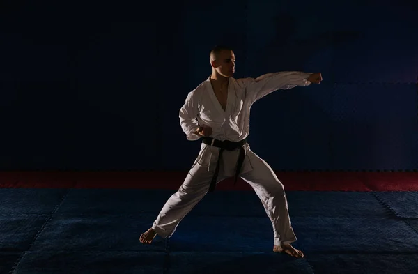 Silueta Mladého Karatisty Který Dělá Jednu Karate Pózu Karate Studiu — Stock fotografie