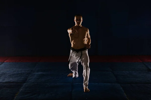 Guapo Joven Karatista Haciendo Pose Tsuki Estudio Karate — Foto de Stock