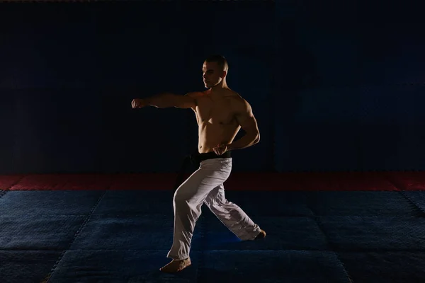 Silhouette Egy Jóképű Karatista Fekete Öves Csinál Tsuki Pózt Karate — Stock Fotó