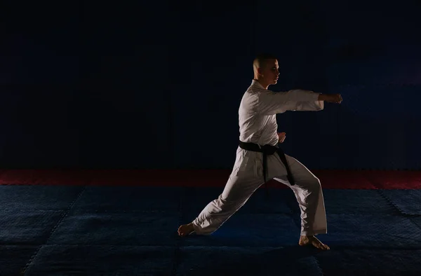 Silhuett Ung Karatist Med Svart Bälte Gör Choku Zuki Karate — Stockfoto