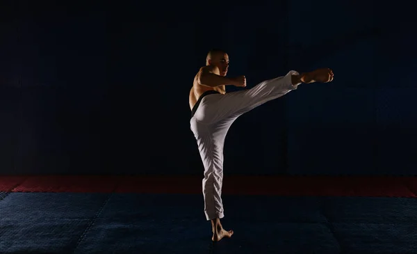 Silhouette Eines Gut Aussehenden Mannes Der Karate Studio Yoko Geri — Stockfoto