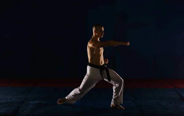 Sylwetka Przystojnego Młodzieńca Gyaku Tsuki Studiu Karate — Zdjęcie stockowe