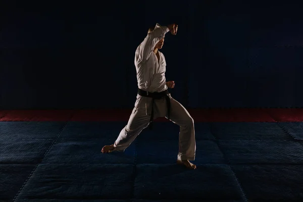 Silhouette Egy Fiatal Karatista Csinál Age Uke Pózol Karate Stúdióban — Stock Fotó
