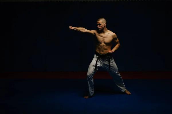Joven Guapo Haciendo Tsuki Kizami Estudio Karate — Foto de Stock