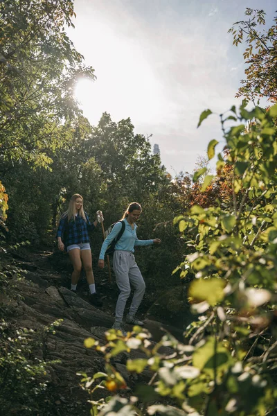 Dos Hermosas Chicas Caminando Por Bosque Montaña — Foto de Stock