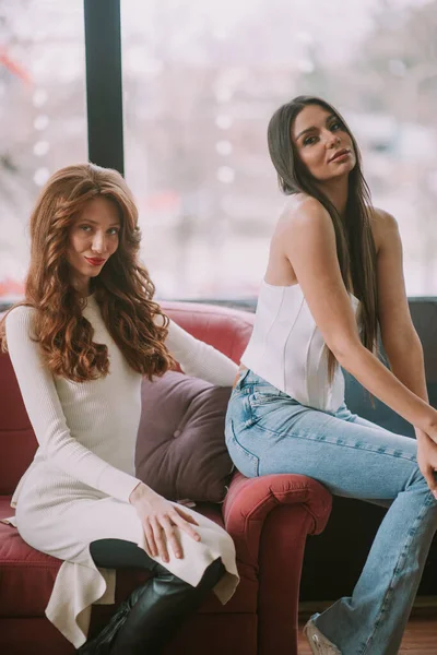 Twee Mooie Modellen Met Lang Recht Krullend Haar Poserend Roze — Stockfoto