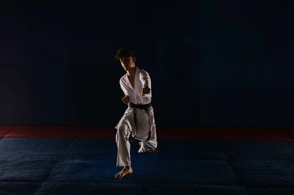 Silhouette Eines Jungen Karatisten Bei Einer Karate Pose Karate Studio — Stockfoto