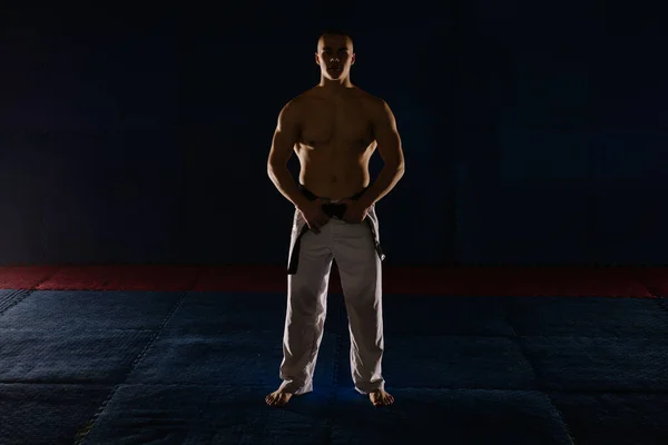 Silhouette Egy Jóképű Tini Pózol Miközben Áll Karate Stúdióban — Stock Fotó