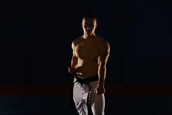Közelkép Egy Jóképű Fiatalember Sziluettjéről Amint Gedan Barai Pózol Karate — Stock Fotó