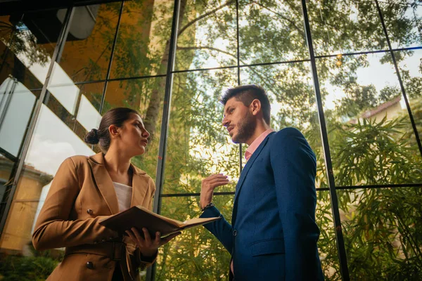 Eine Hinreißende Geschäftsfrau Hört Ihrem Männlichen Geschäftspartner Während Darüber Spricht — Stockfoto