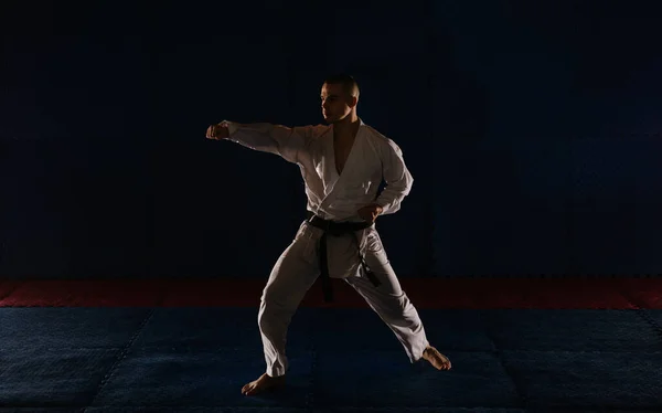 Karatistin Silueti Karate Stüdyosunda Choku Zuki Pozu Veriyor — Stok fotoğraf