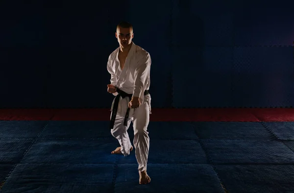 Silhouette Eines Jungen Karatisten Der Karate Studio Karate Pose Steht — Stockfoto