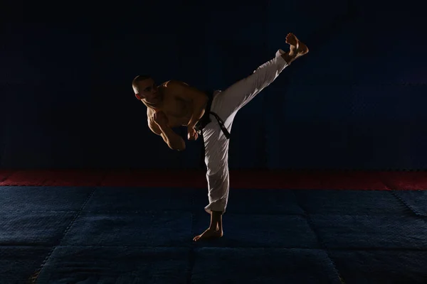Joven Guapo Hombre Haciendo Pose Yoko Geri Estudio Karate — Foto de Stock