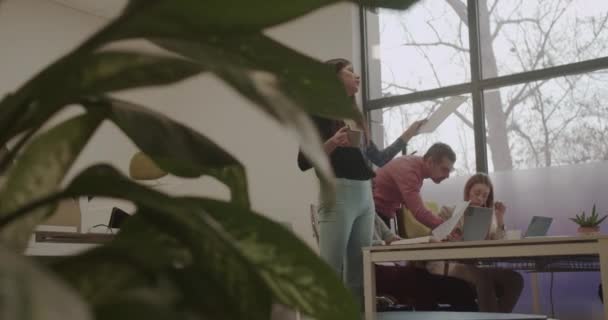 現代のオフィス空間で働く多様な従業員 — ストック動画