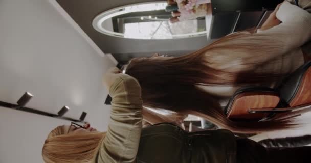 Peignage Des Cheveux Une Brune Dans Salon Professionnel Vidéo Verticale — Video
