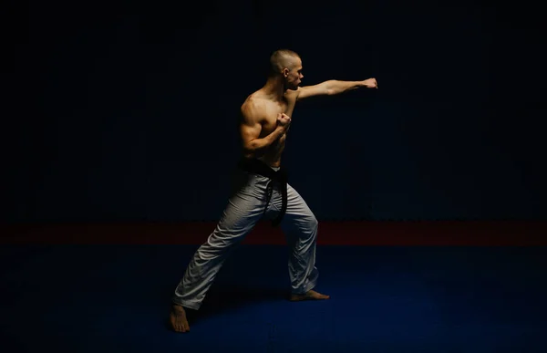 Silueta Joven Karatista Haciendo Una Pose Kizami Tsuki Estudio Karate — Foto de Stock