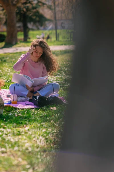 Υπέροχο Κορίτσι Σγουρά Μαλλιά Σπουδάζει Στο Πάρκο Για Τις Εξετάσεις — Φωτογραφία Αρχείου