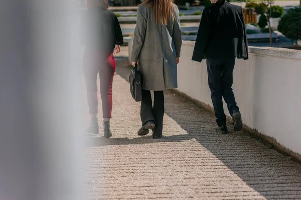 バックビューショットの3つのスタイリッシュなビジネスの女の子歩く — ストック写真