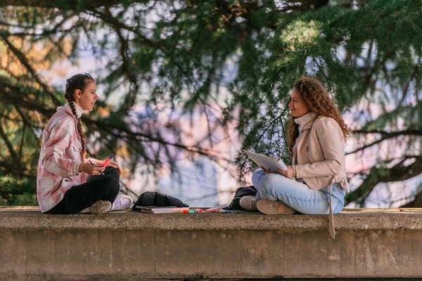 学校の庭で一緒に勉強する素敵な女子高生 彼らは壁の端に座って会話をしていた — ストック写真