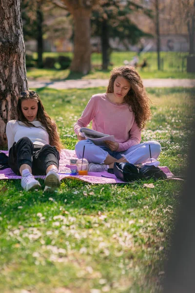 Υπέροχα Κορίτσια Που Σπουδάζουν Στο Πάρκο Για Τις Εξετάσεις Την — Φωτογραφία Αρχείου