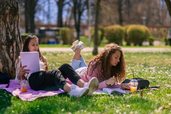 晴れた日に公園で勉強している女の子の低角度ビューショット — ストック写真