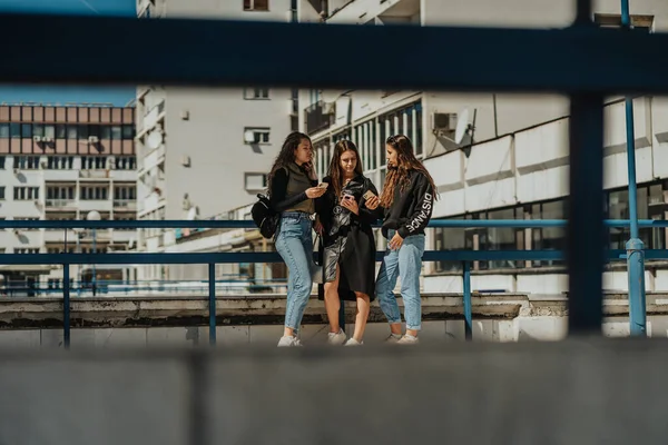 Meninas Bonitas Ter Uma Conversa Estão Verificar Telemóveis — Fotografia de Stock